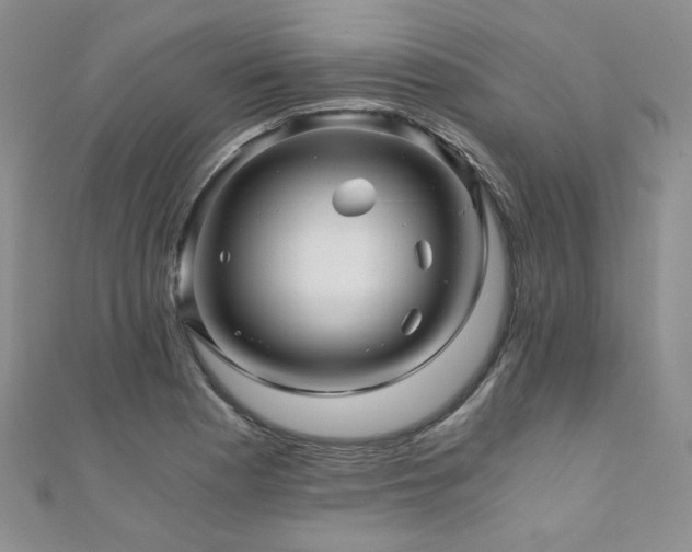 X0000110871177200906181156