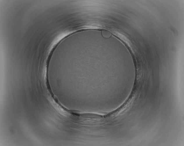 X0000110871179200906181156