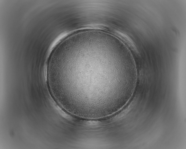 X0000110871180200906181156