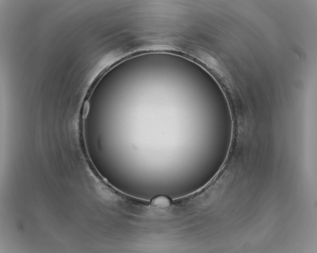 X0000110871181200906181156