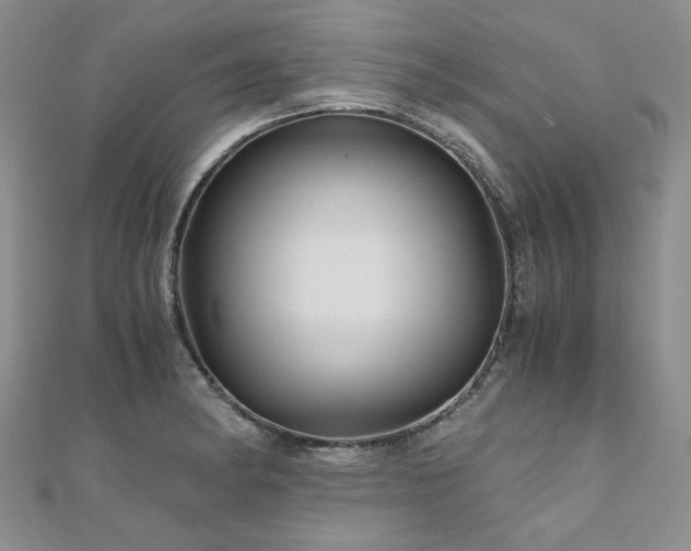 X0000110871182200906181156