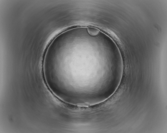 X0000110871183200906181156