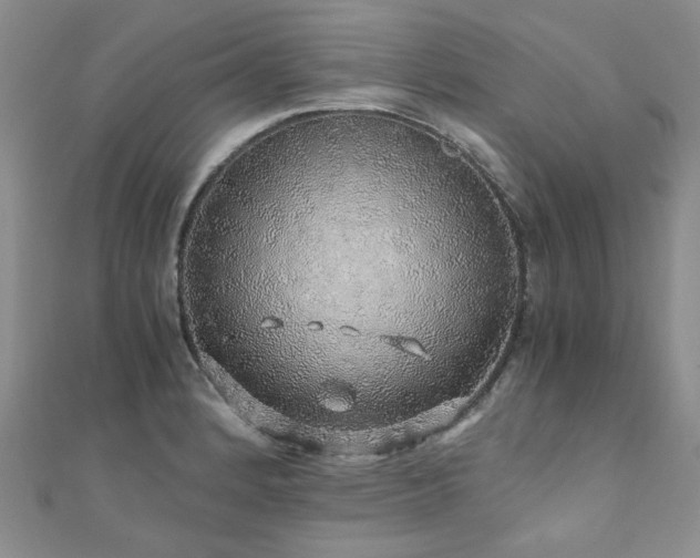 X0000110871184200906181156