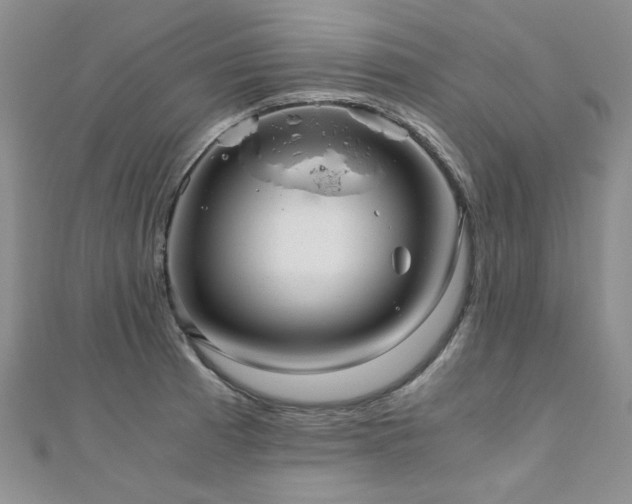 X0000110871185200906181156