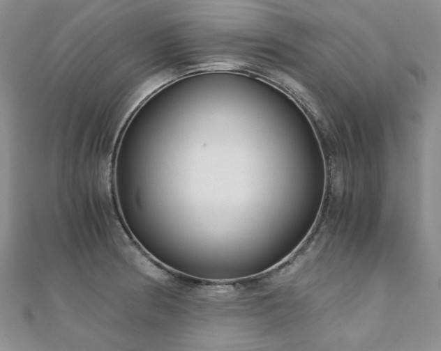 X0000110871186200906181156