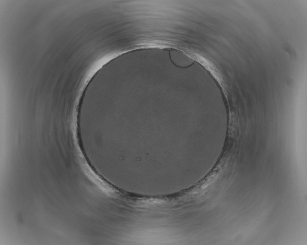 X0000110871187200906181156