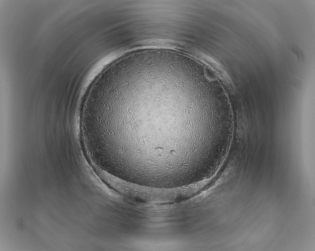 X0000110871188200906181156