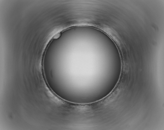 X0000110871189200906181156