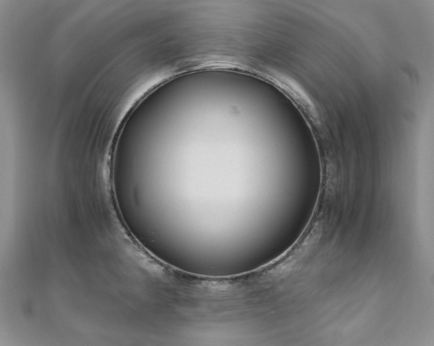 X0000110871190200906181156