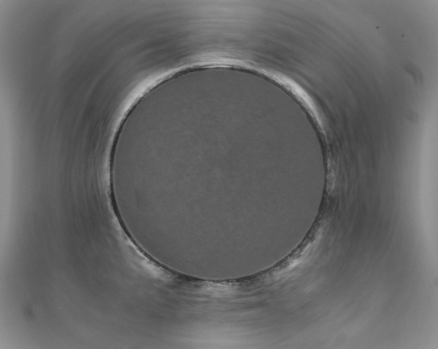 X0000110871191200906181156