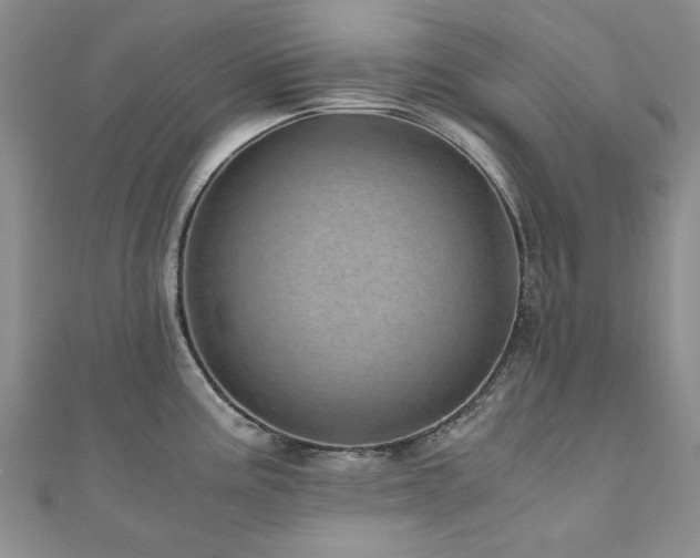 X0000110871195200906181156