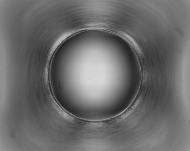 X0000110871196200906181156