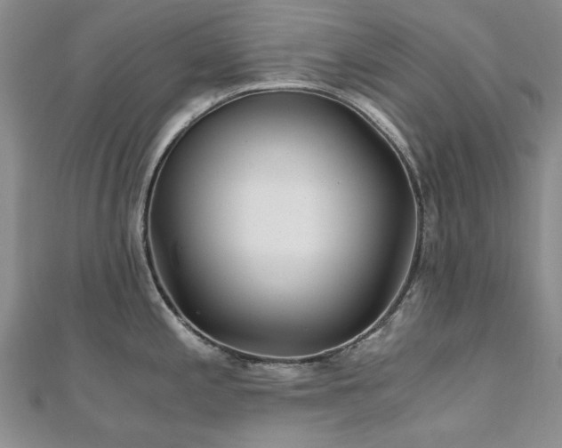 X0000110871197200906181156