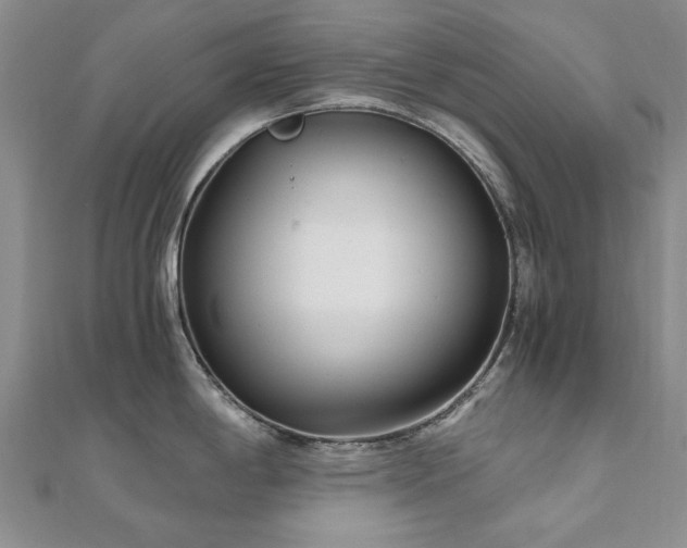 X0000110871198200906181156