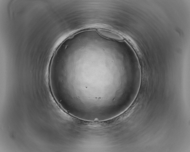 X0000110871199200906181155