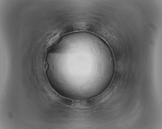 X0000110871201200906181155