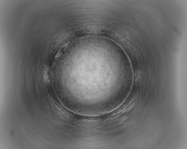 X0000110871202200906181155