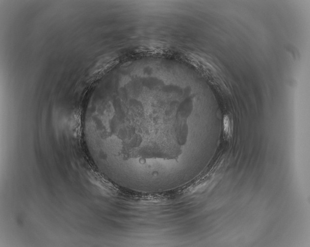 X0000110871203200906181155