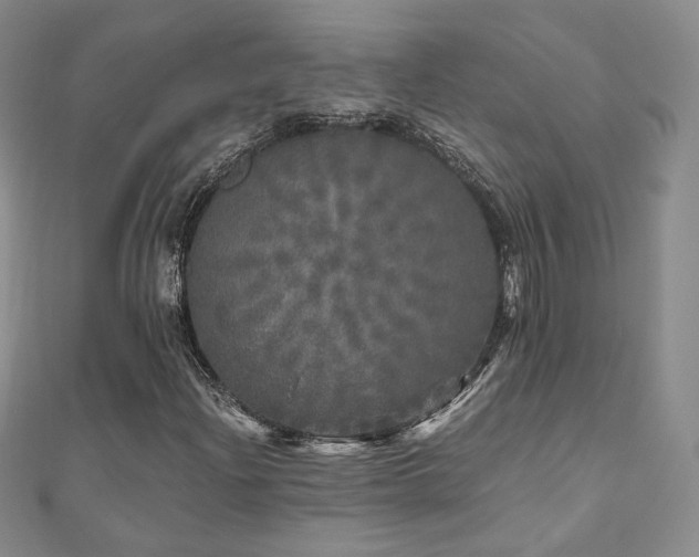 X0000110871204200906181155