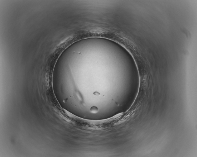 X0000110871205200906181155