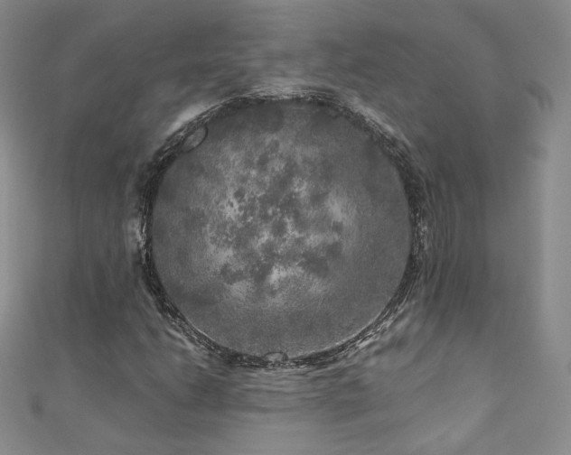 X0000110871206200906181155