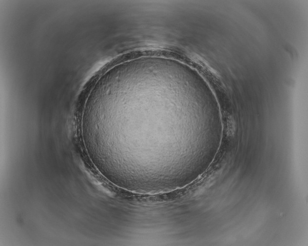 X0000110871208200906181155