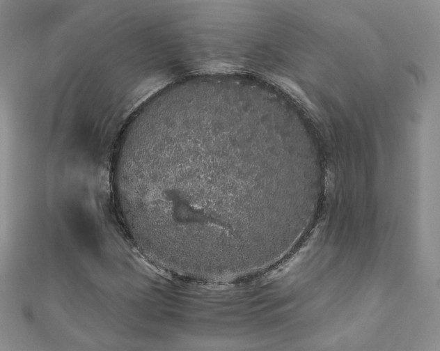 X0000110871209200906181155