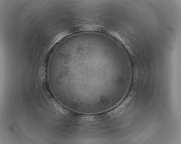 X0000110871211200906181155