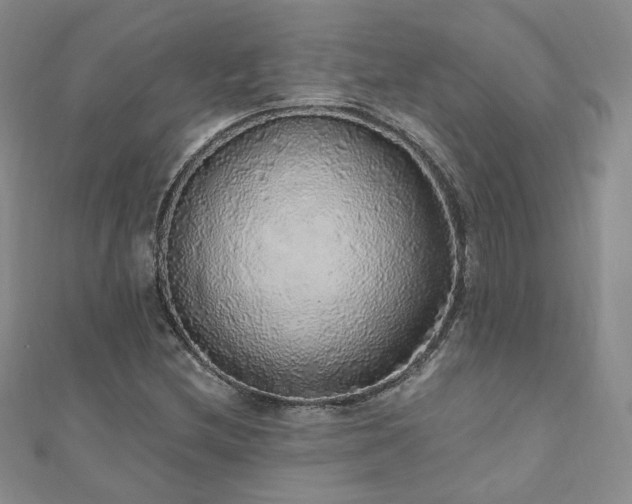 X0000110871212200906181155