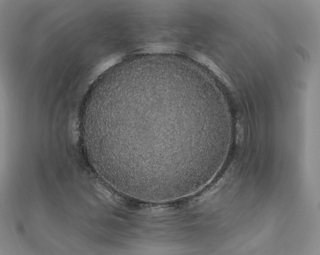 X0000110871213200906181155