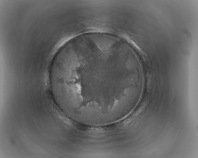 X0000110871215200906181155