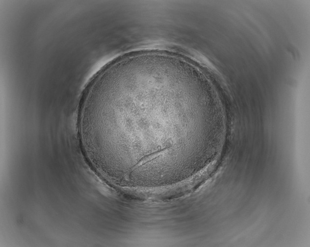 X0000110871216200906181155