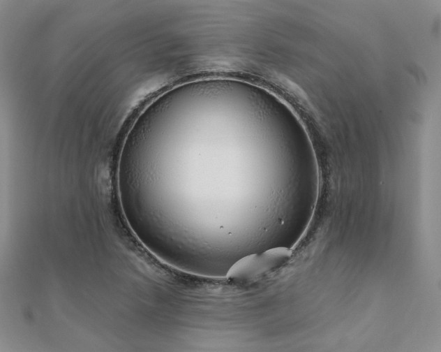 X0000110871218200906181155