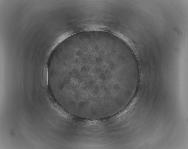 X0000110871219200906181155