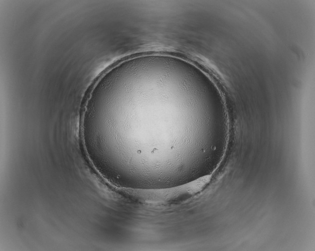 X0000110871220200906181155