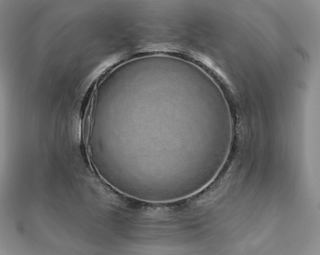 X0000110871221200906181155