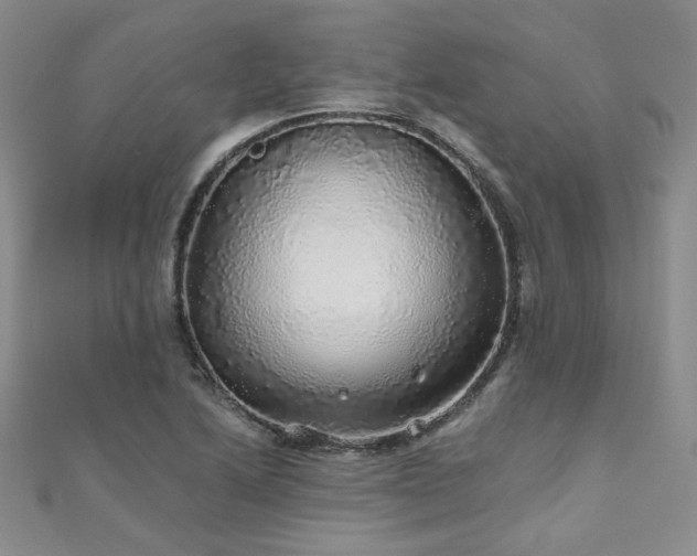 X0000110871222200906181155