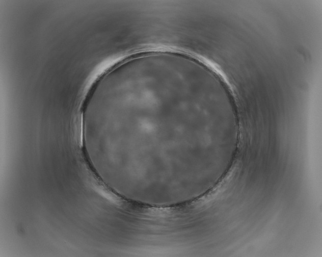 X0000110871223200906181155