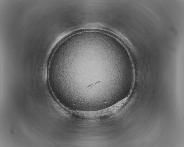 X0000110871224200906181155