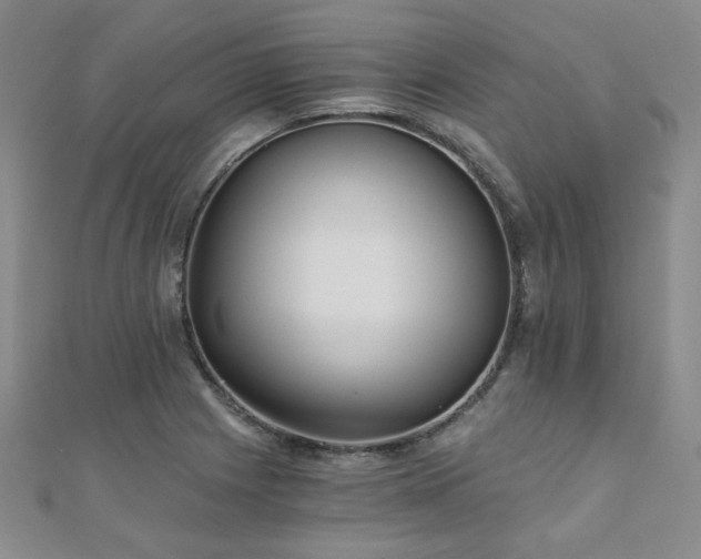 X0000110871225200906181155