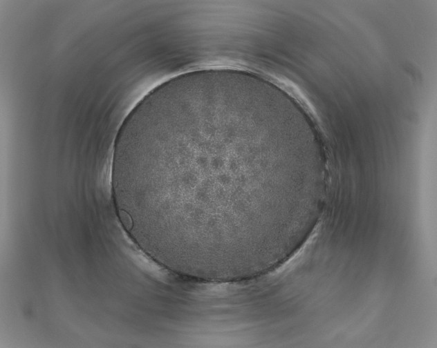 X0000110871228200906181155