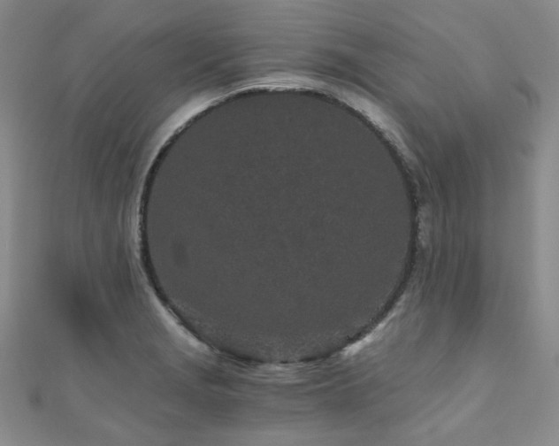 X0000110871229200906181155