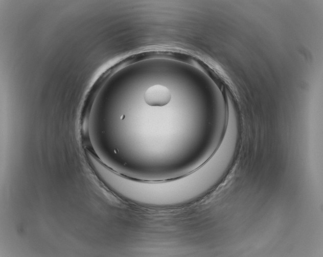 X0000110871230200906181155