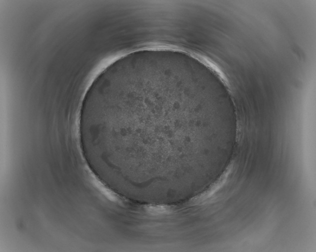 X0000110871231200906181155