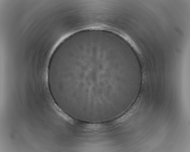 X0000110871232200906181155