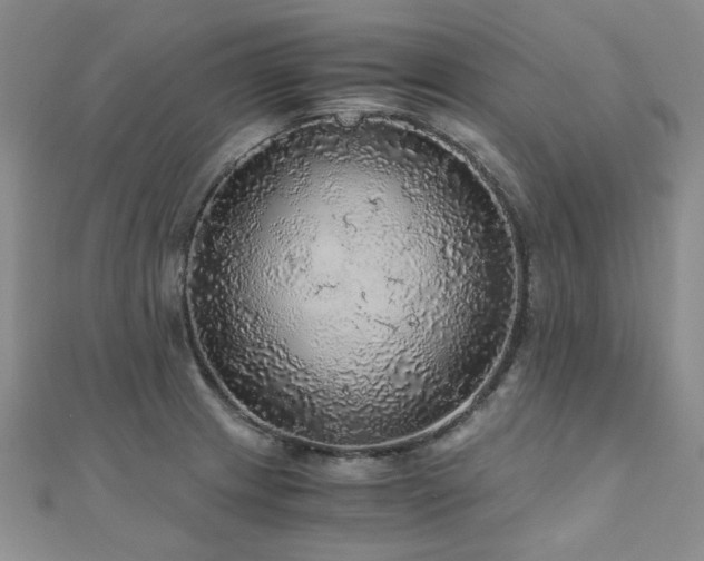 X0000110871233200906181155