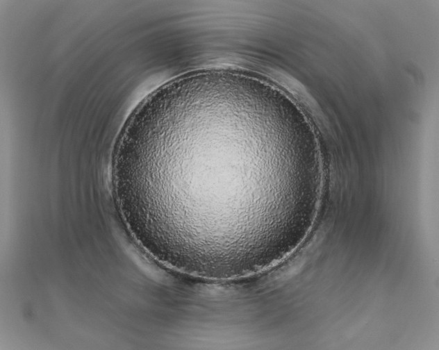 X0000110871234200906181155