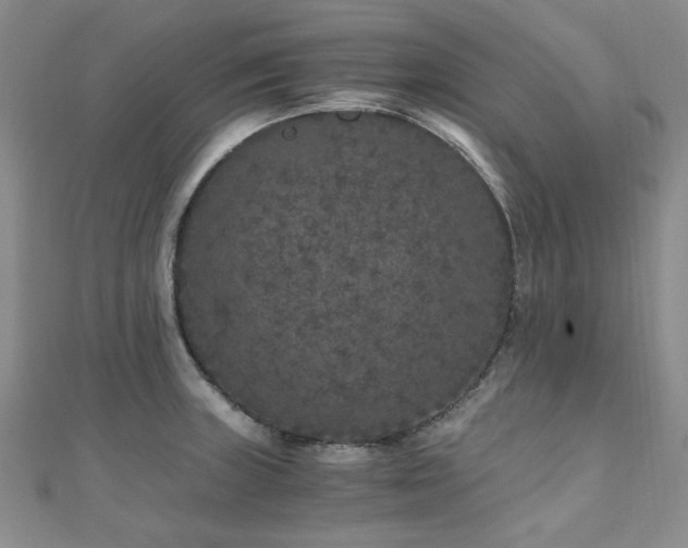 X0000110871235200906181155