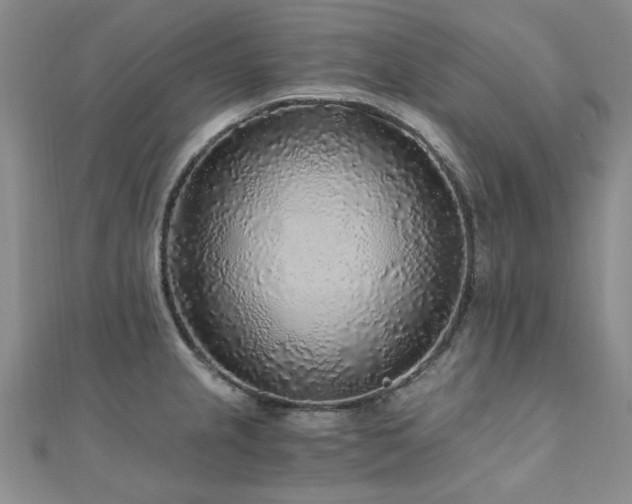 X0000110871237200906181155