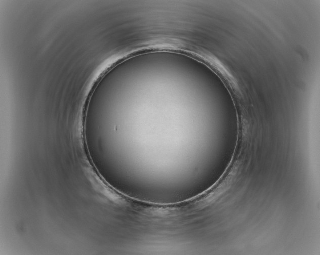 X0000110871240200906181155